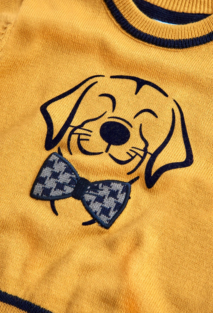 Pull pour bébé garçon -BCI