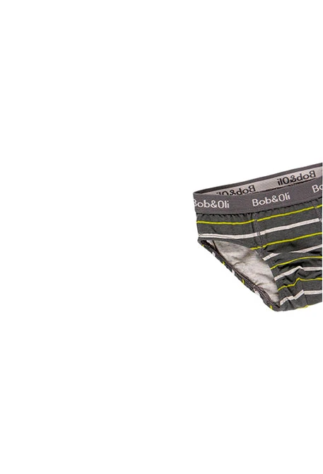 Pack de 3 slips pour garçon - organique