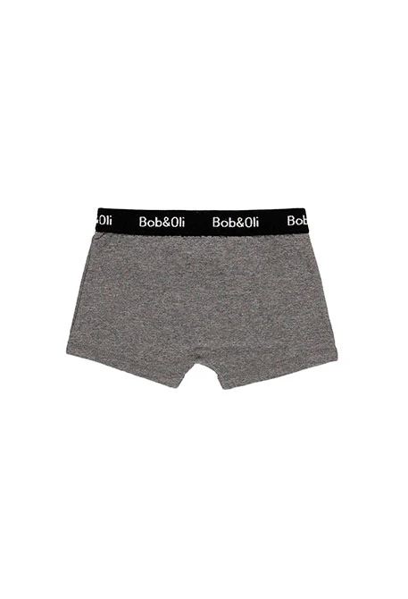 Pack 3 boxers for boy - organic