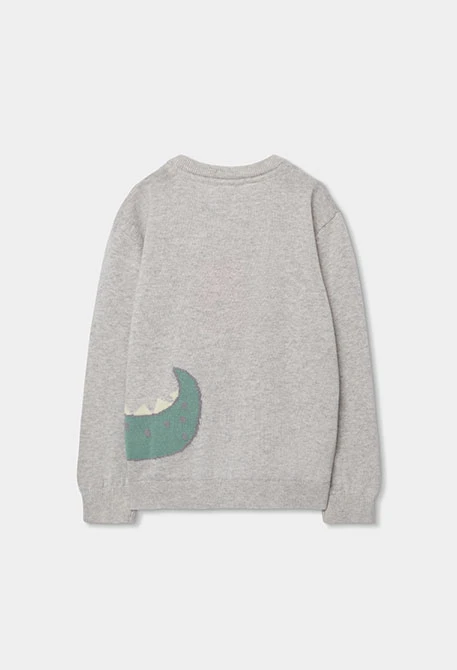 Kinderpullover in Grau mit Krokodilmuster aus Baumwolle.