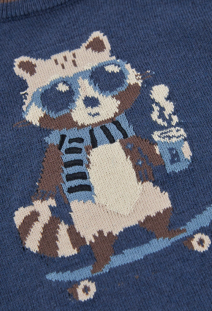 Maglione bambino blu stampato procione skater