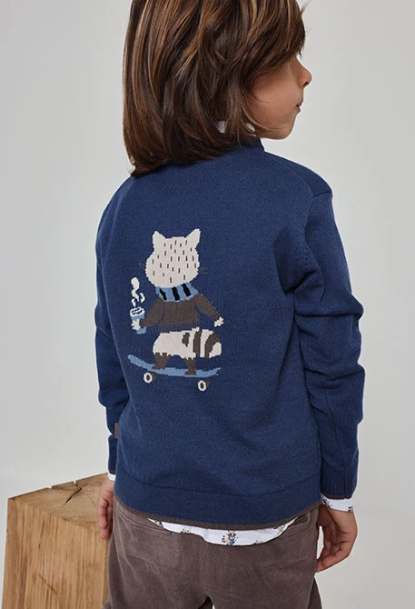 Printed raccoon skater blue boy jumper