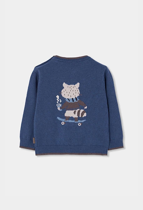 Blauer Jungen-Pullover mit Waschbär-Skater-Print