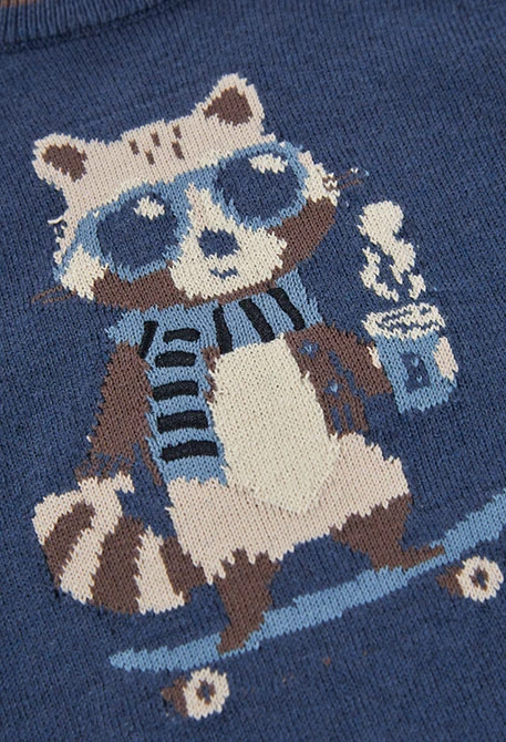 Camisola menino azul estampado guaxinim skater