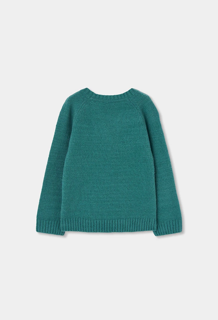 Pull garçon vert col rond