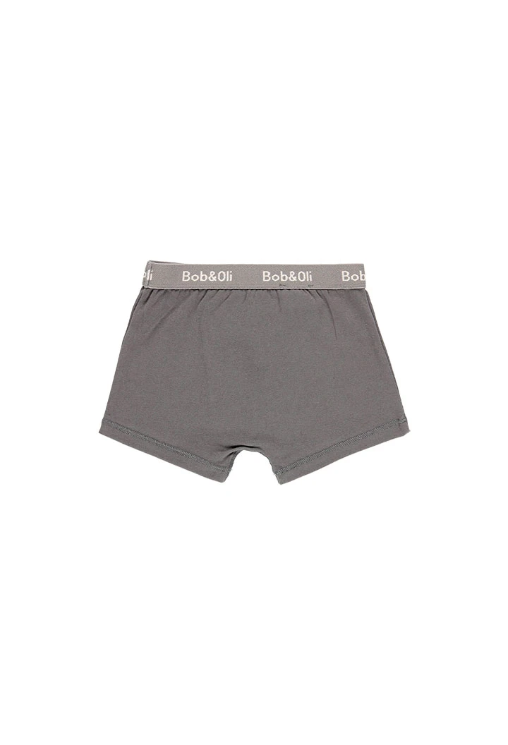 Pack 3 boxers for boy - organic