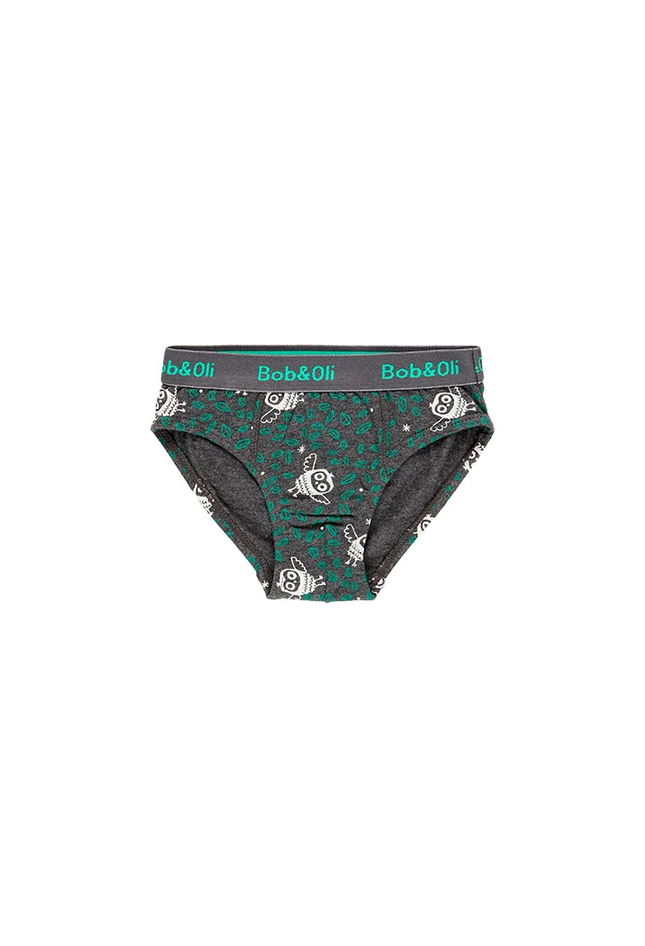 Pack 3 slips for boy - organic