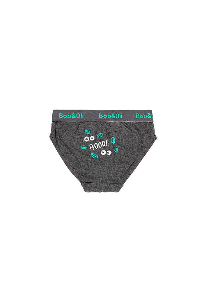 Pack de 3 slips pour garçon - organique