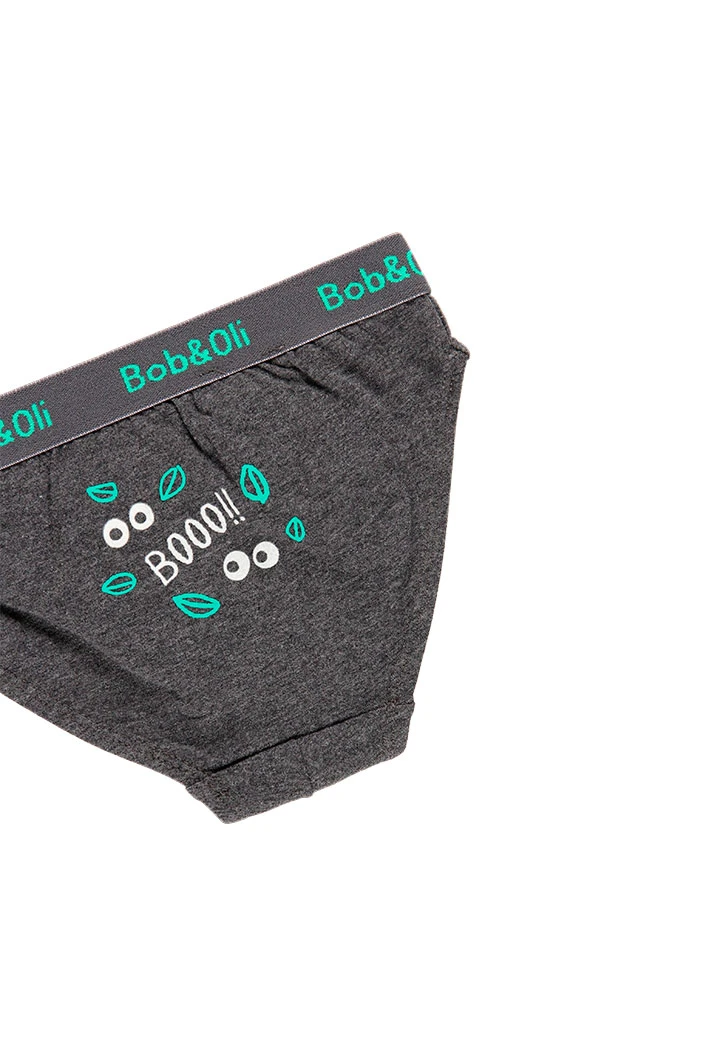 Pack de 3 slips pour garçon - organique