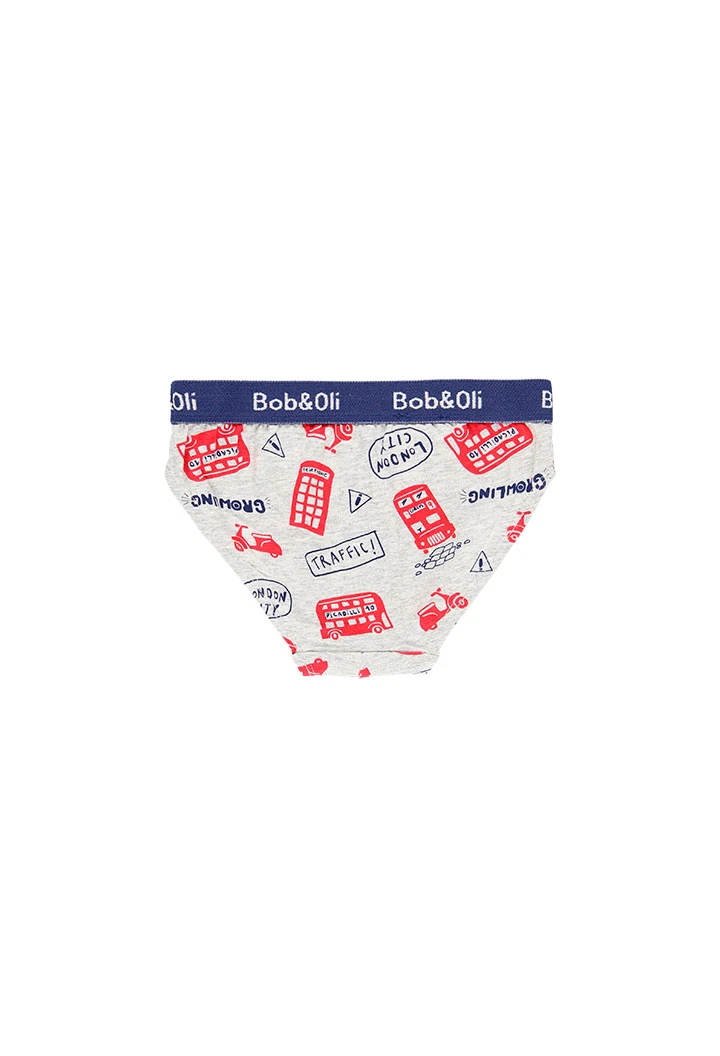 Pack 3 slips for boy - organic