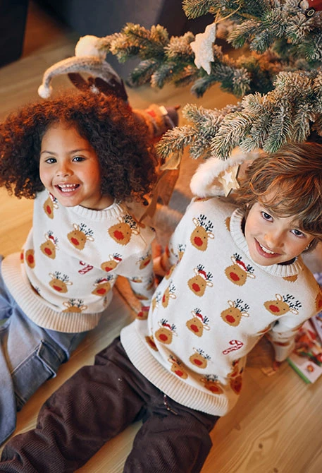 Familien-Rentier-Pullover