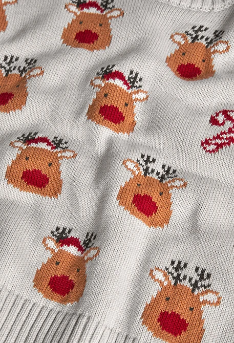 Familien-Rentier-Pullover