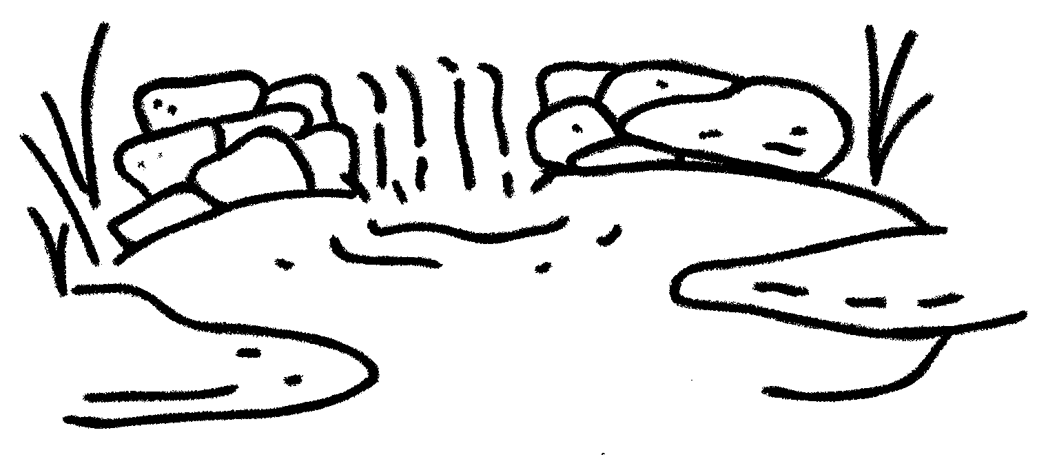 Estanque Estanque