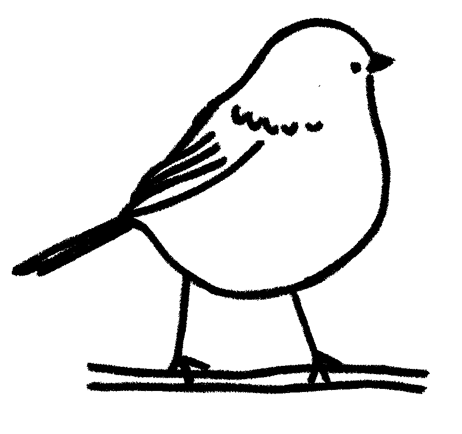 Pajarito Pajarito